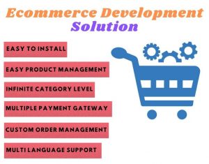 Why One Should Have an Ecommerce Website