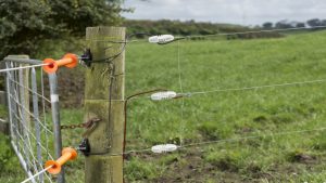 A Simple Electric Fence Can Serve Your Purpose Effectively – Arreh
