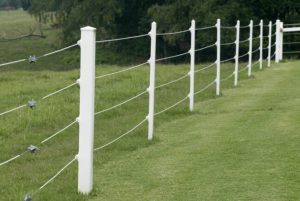 Know Everything About The Cost Of Electric Fence