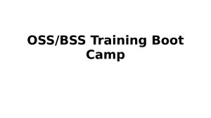 OSS/BSS Training Boot Camp
