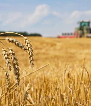 Why Large Farms Are Switching to John Deere Combine Machines in 2025